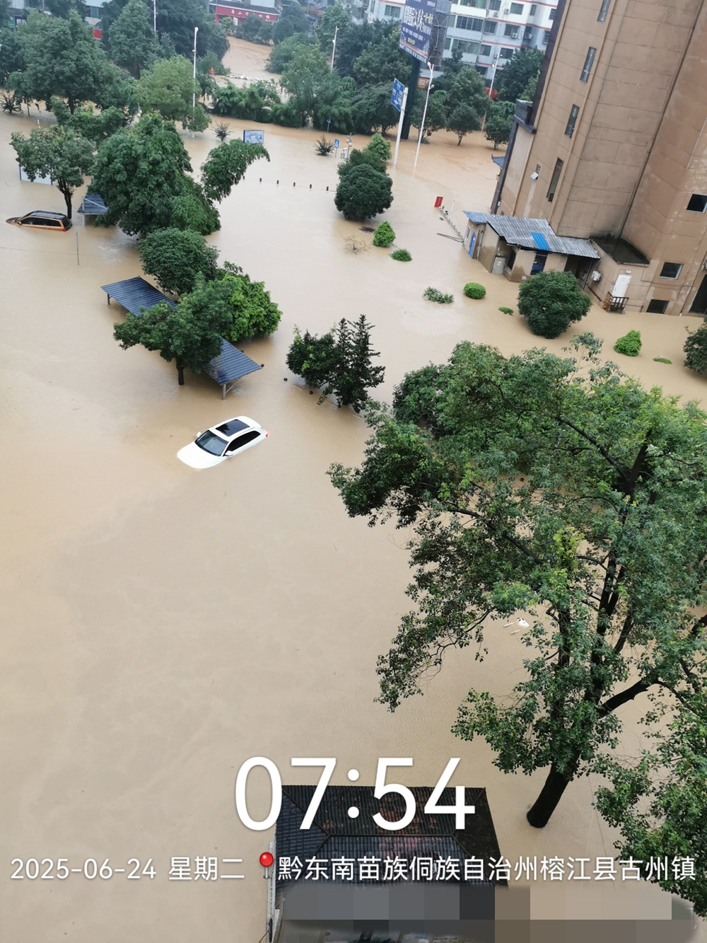 <strong>榕江一养殖户百头生猪被洪水冲散 老板称：天灾没办法人没事就好</strong>