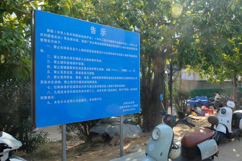 <strong>众鸣时评！网红赶海何以变身“生态杀手”？</strong>